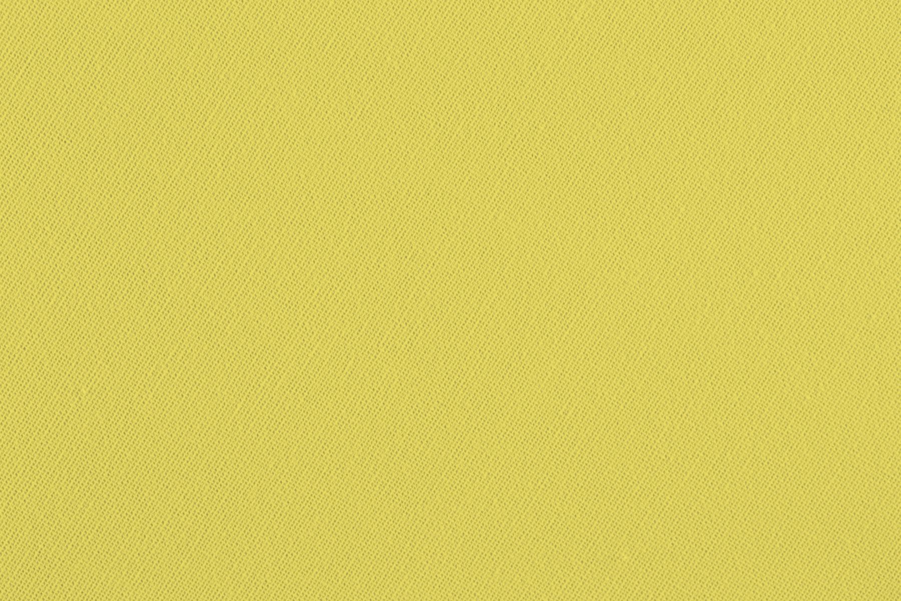 Rit ProLine Lemon Yellow, 2268 г