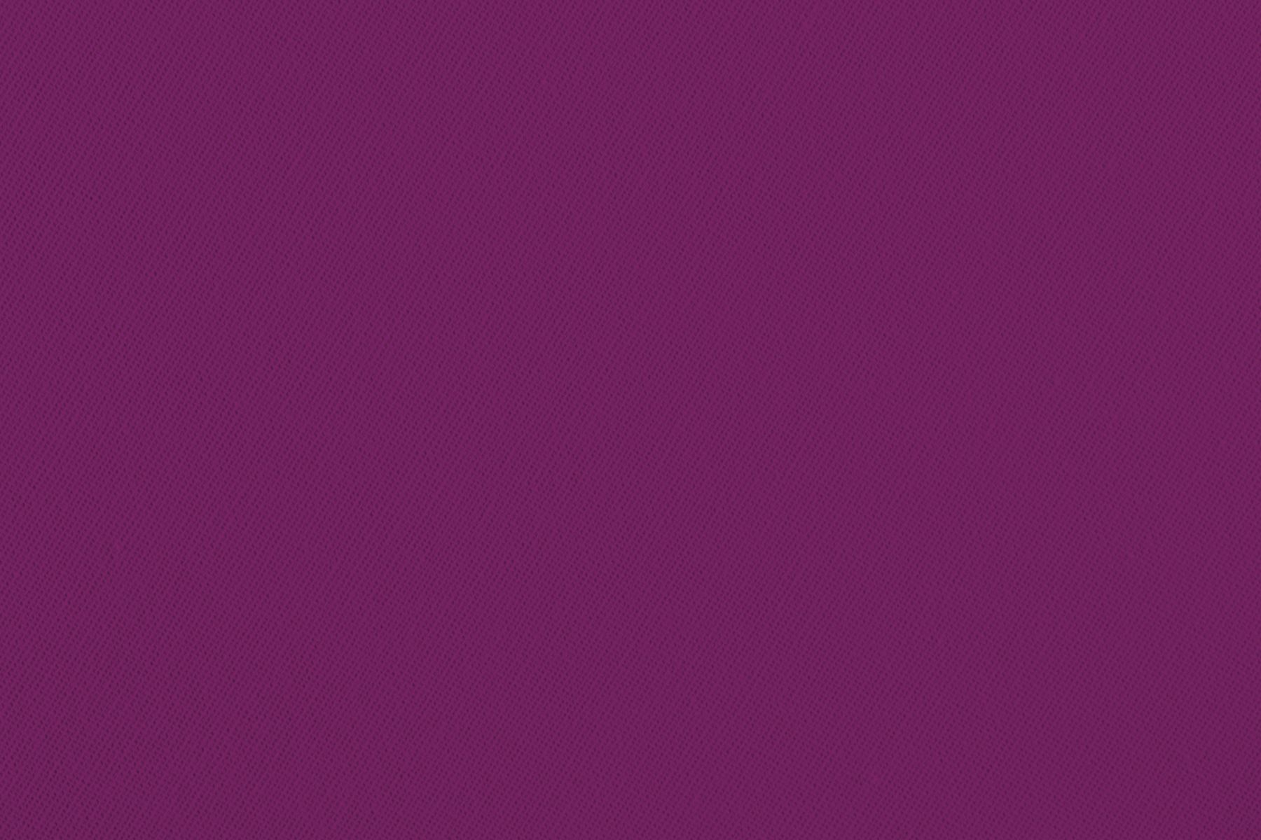 Rit ProLine Violet, 2268 г