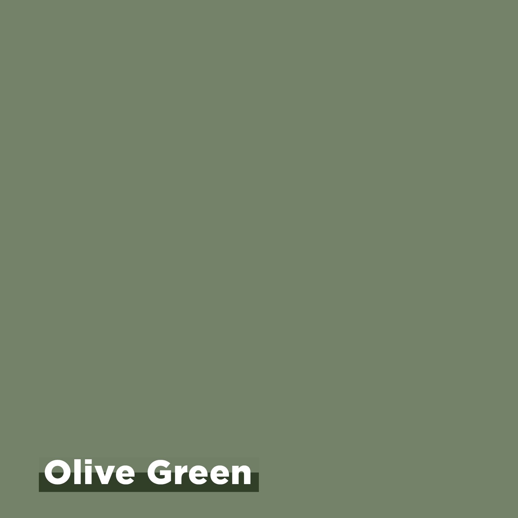 Комплект Rit Dye Olive Green