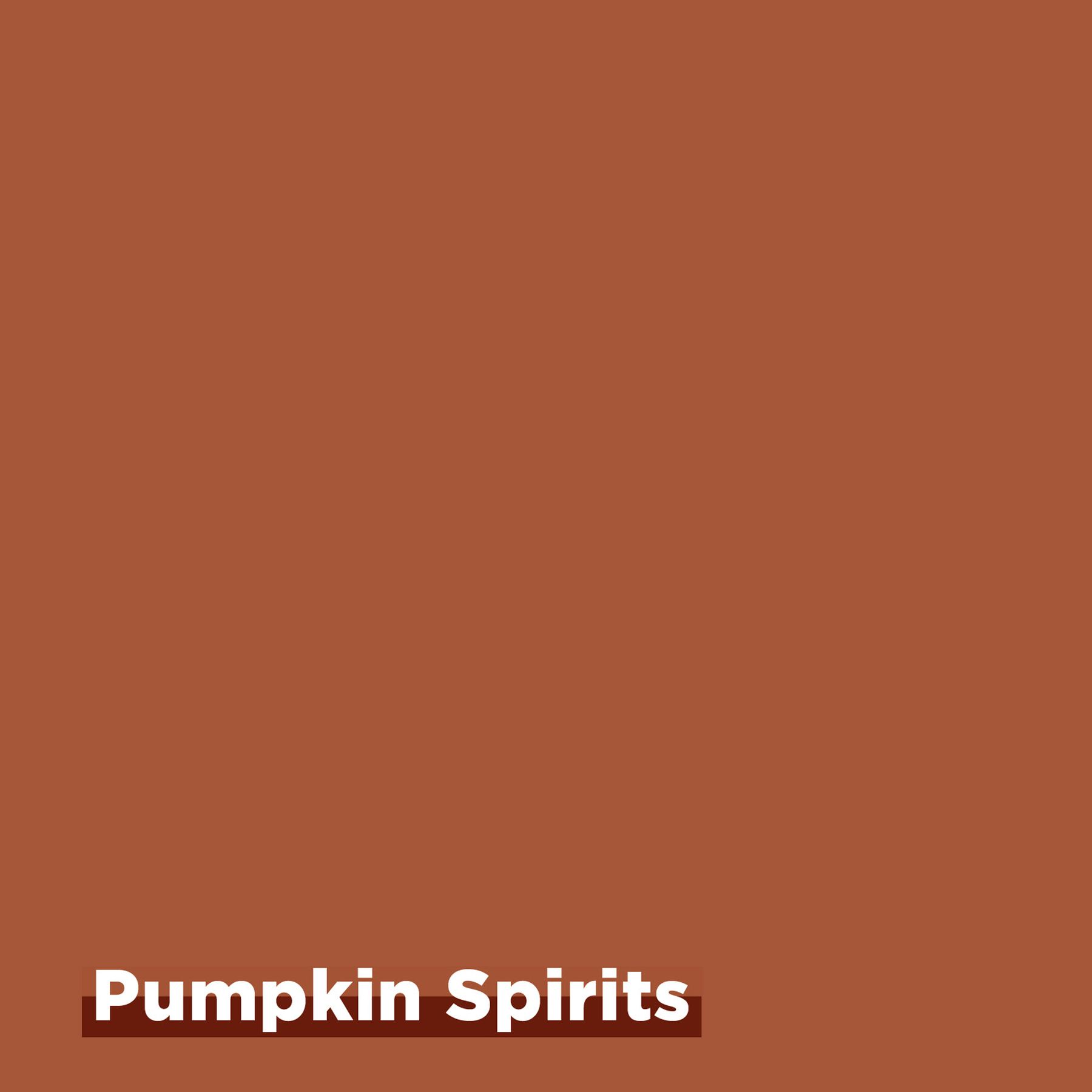 Комплект Rit Dye Pumpkin Spirits