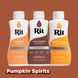 Комплект Rit Dye Pumpkin Spirits