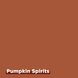 Комплект Rit Dye Pumpkin Spirits