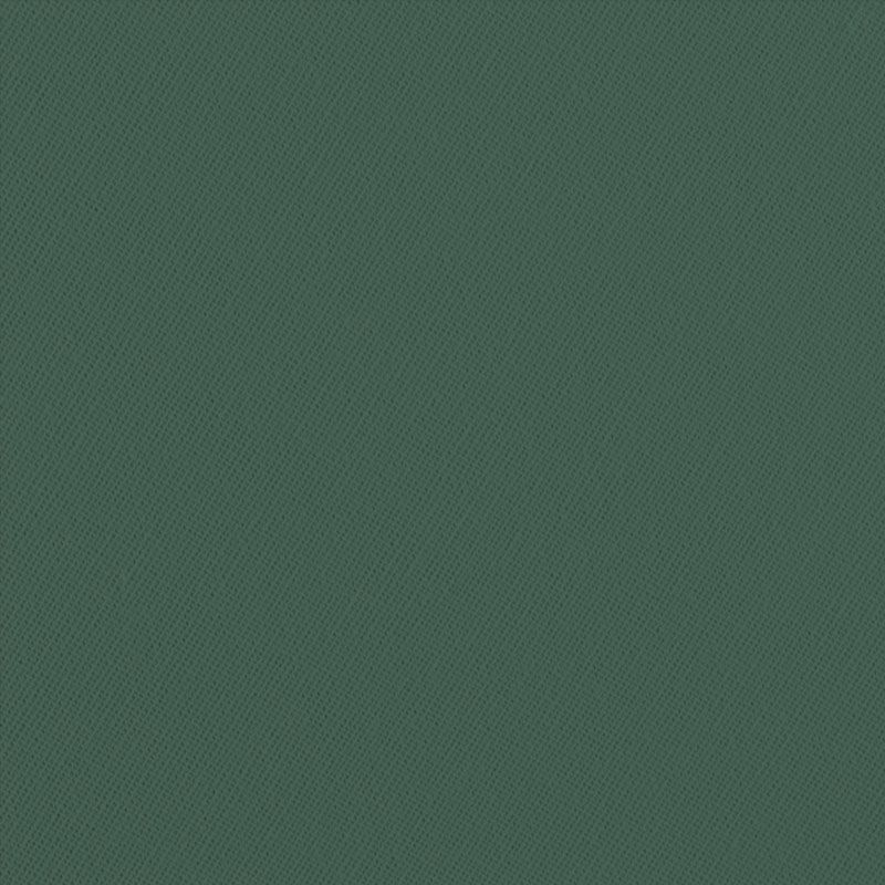 Rit Dye Dark Green